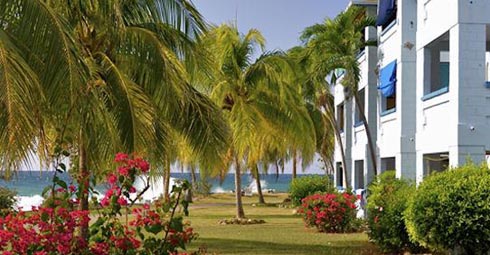 Carib Beach Apartments in Negril