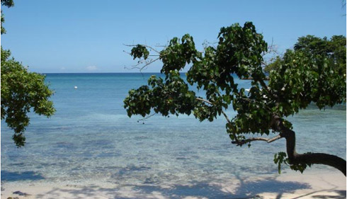Half Moon Beach - Negril Jamaica