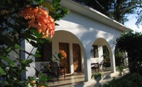 Negril Yoga Centre