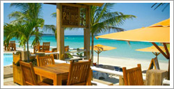 The Palms Resort - Negril Jamaica